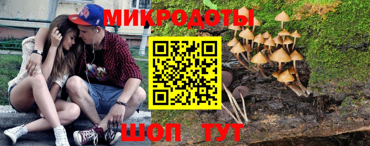 Орск  Галлюциногенные грибы прущие грибы  Вход с VPN 