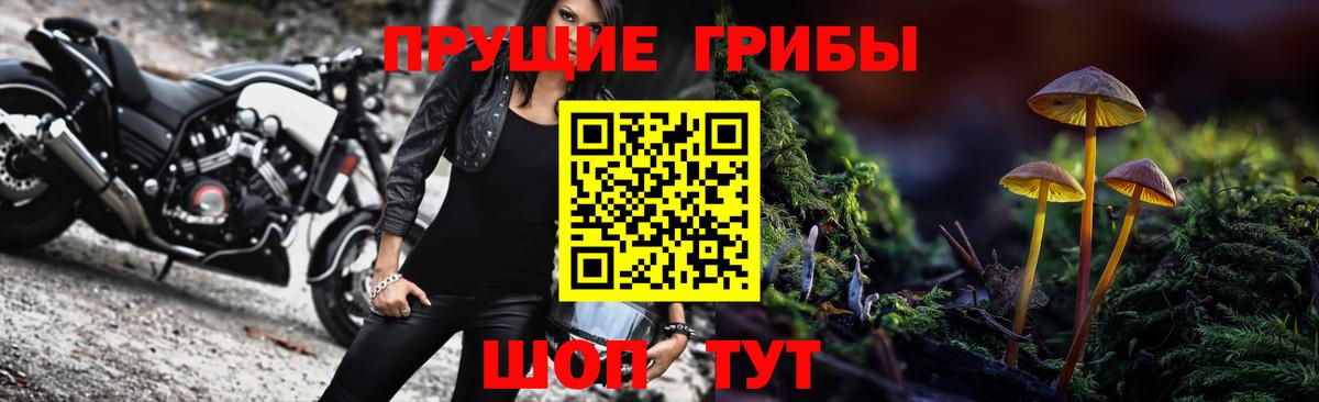 Псилоцибиновые грибы GOLDEN TEACHER Орск