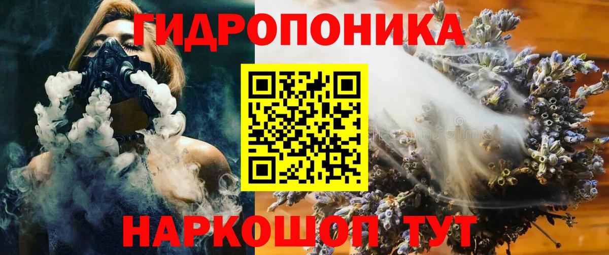 Бошки Шишки White Widow  МАРИХУАНА гибрид  Орск  Вход с VPN  Шишки марихуана Amnesia 